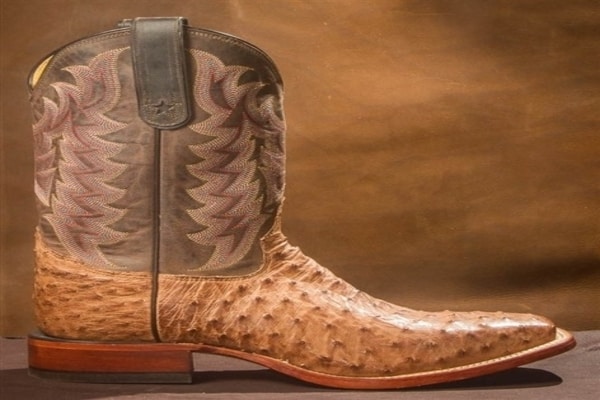 The Difference Between Half and Full Quill Ostrich Leather – Country View  Western Store